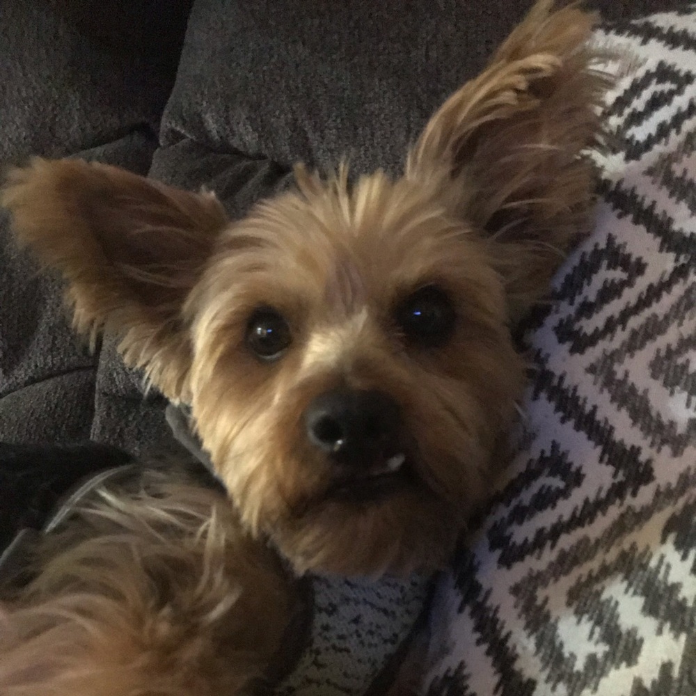 Meet your Posher, Katie